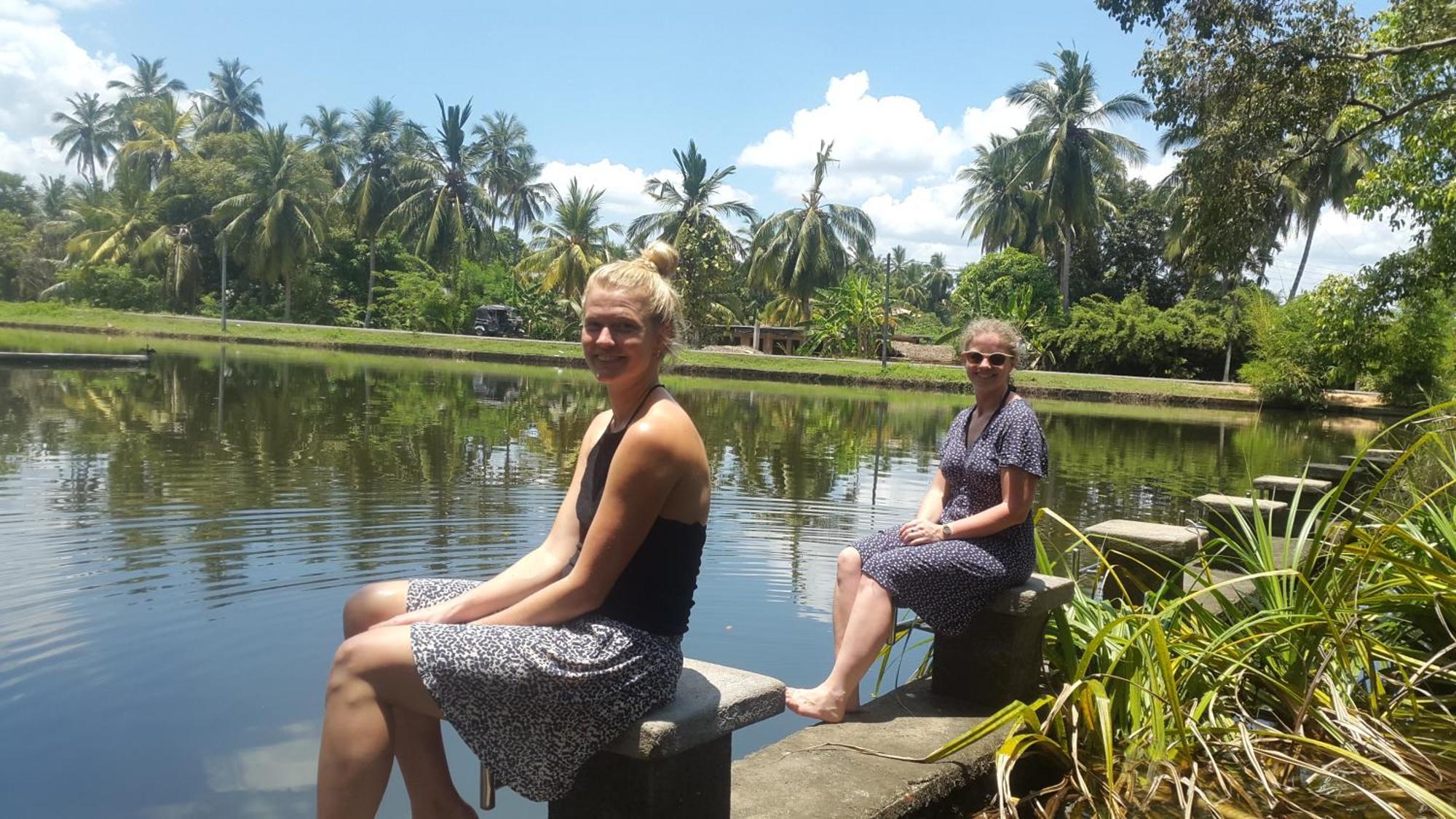 Priyanna Guest, Forest View Polonnaruwa Eksteriør billede
