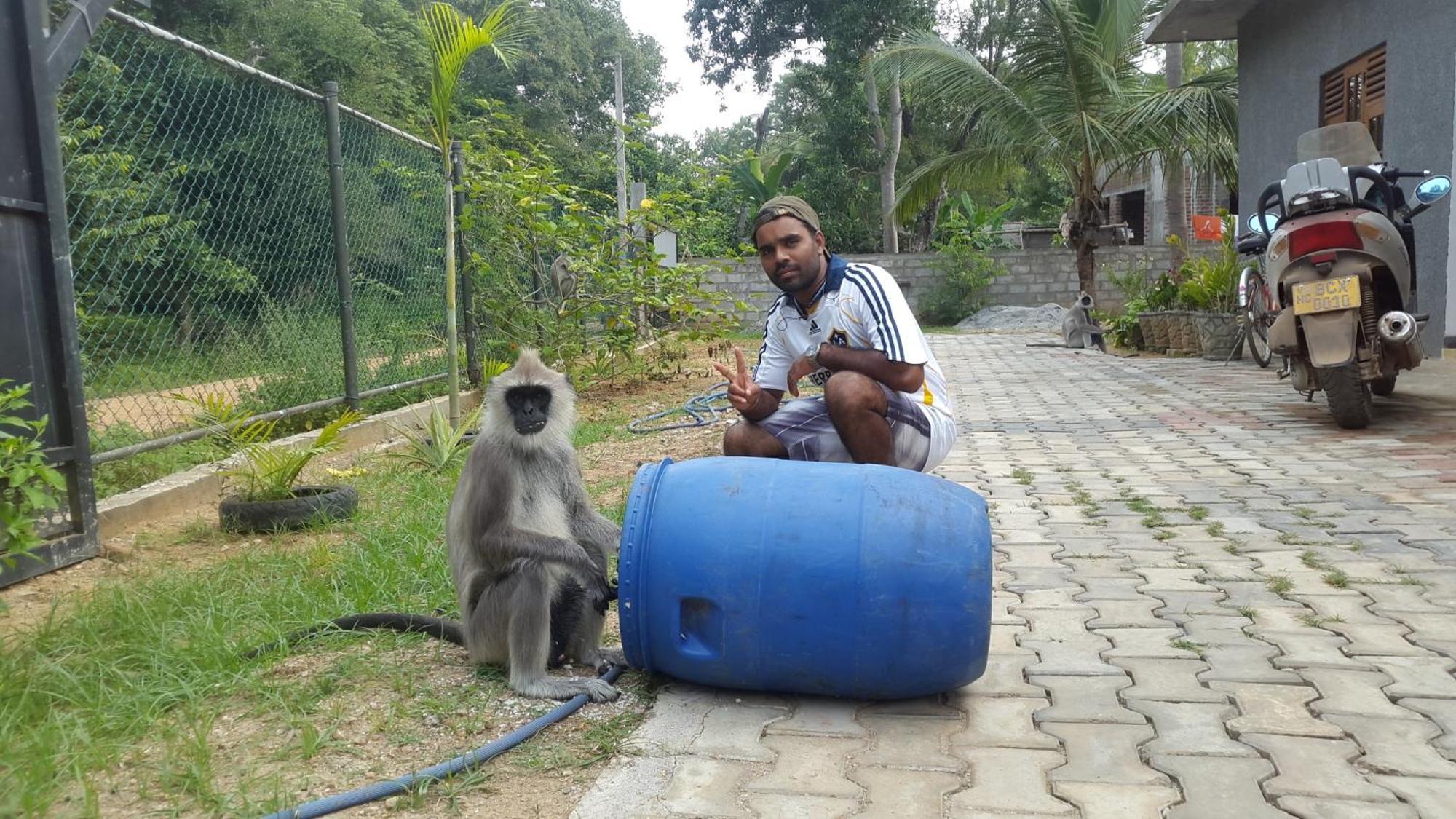Priyanna Guest, Forest View Polonnaruwa Eksteriør billede